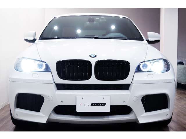 BMW BMW X6 M 2011