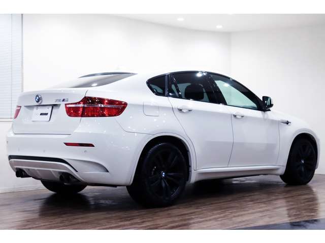 BMW BMW X6 M 2011