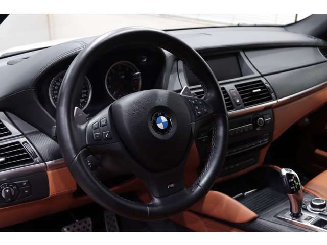 BMW BMW X6 M 2011