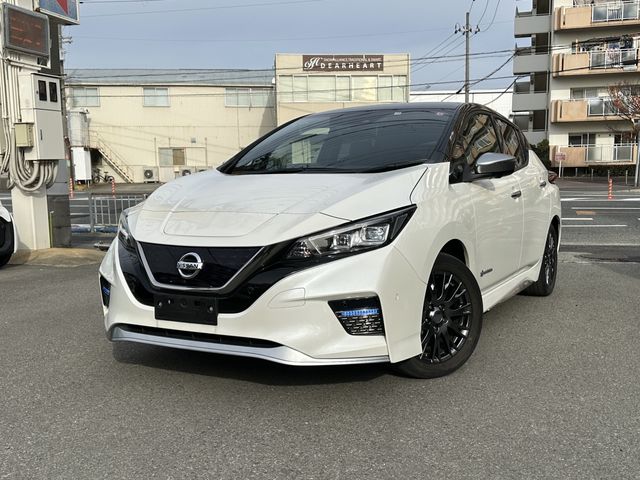 NISSAN LEAF 2019