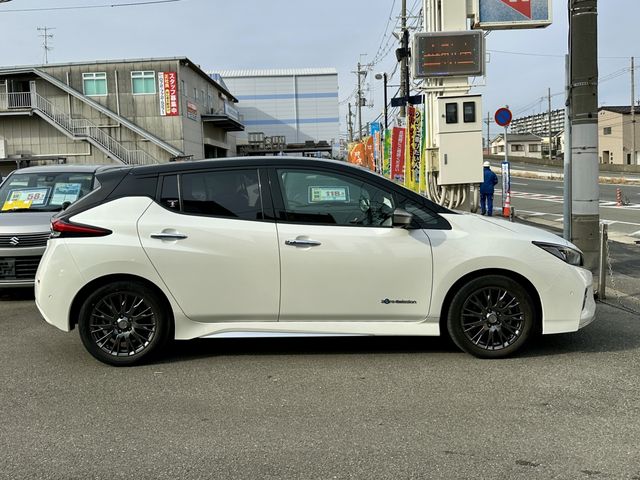 NISSAN LEAF 2019