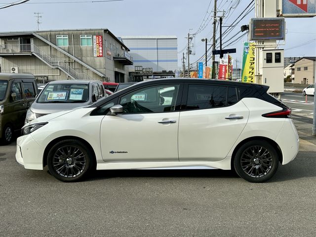 NISSAN LEAF 2019