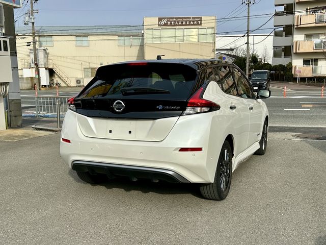 NISSAN LEAF 2019