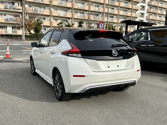 NISSAN LEAF 2019