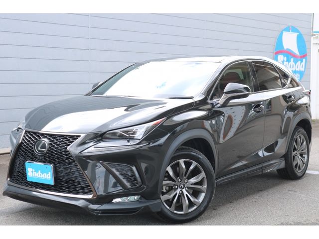 TOYOTA LEXUS NX300 2018