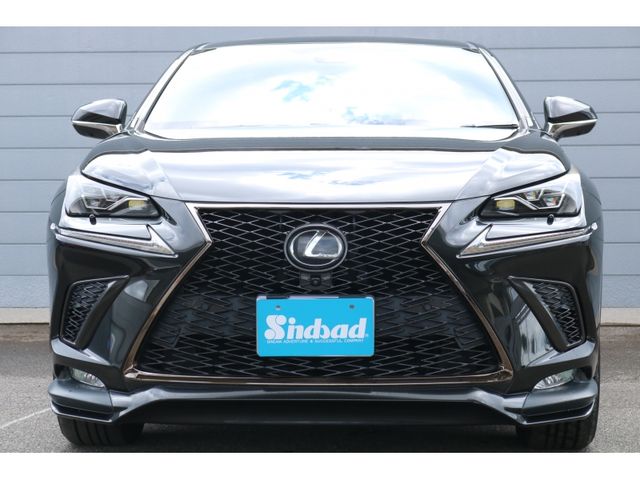 TOYOTA LEXUS NX300 2018