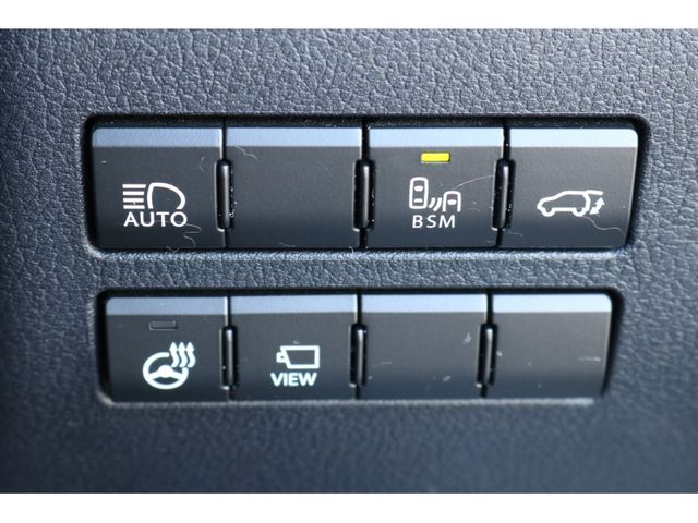 TOYOTA LEXUS NX300 2018