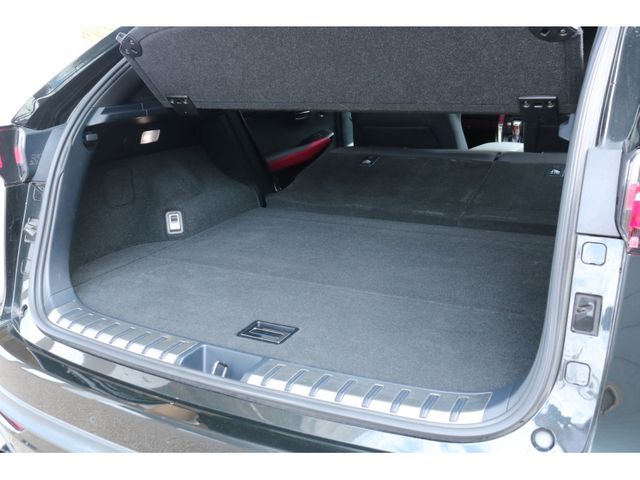 TOYOTA LEXUS NX300 2018