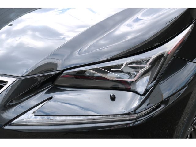 TOYOTA LEXUS NX300 2018