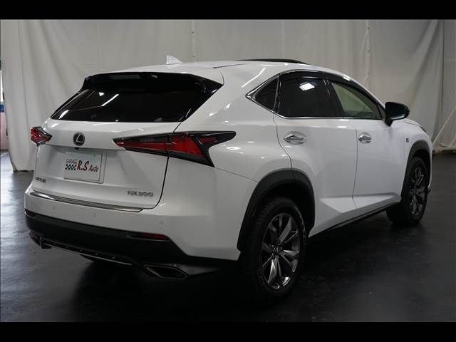 TOYOTA LEXUS NX300 2017