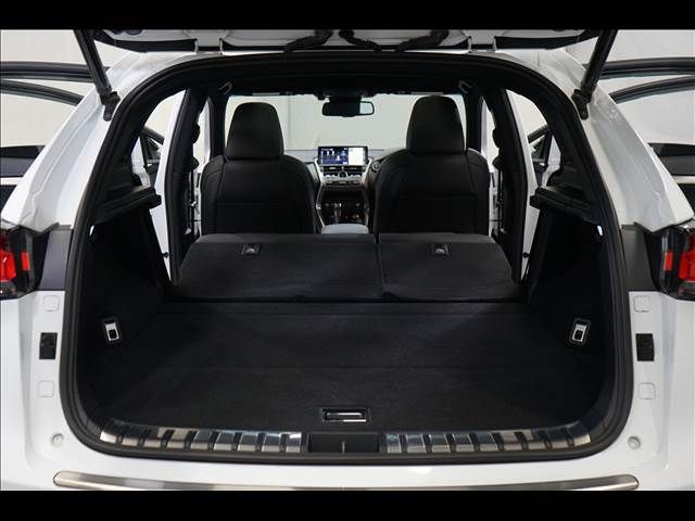 TOYOTA LEXUS NX300 2017