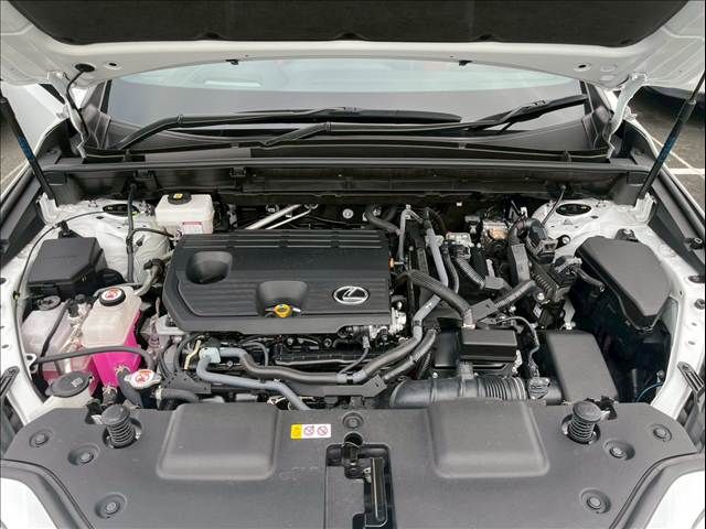 TOYOTA LEXUS NX350h 2023