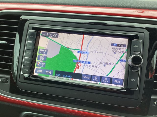 VOLKSWAGEN VOLKSWAGEN The BEETLE 2016