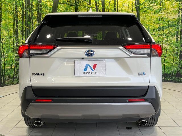 TOYOTA RAV4 HYBRID 4WD 2019