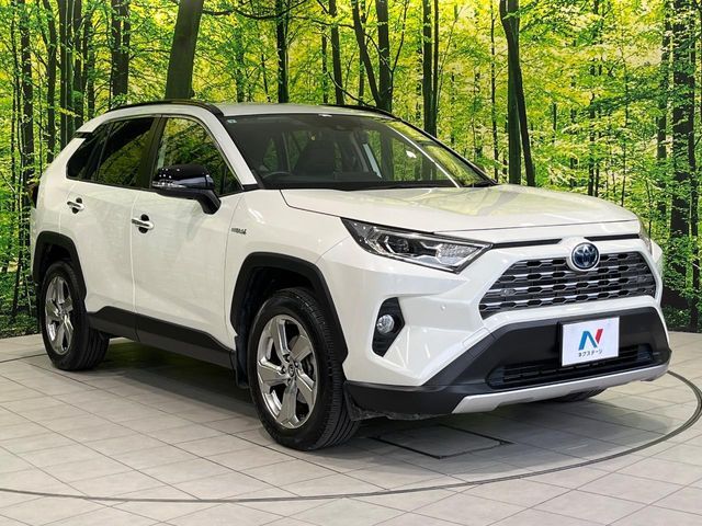 TOYOTA RAV4 HYBRID 4WD 2019
