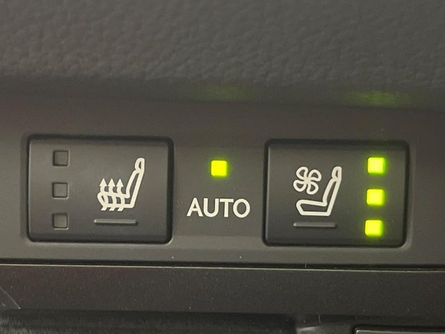 TOYOTA LEXUS ES300h 2019