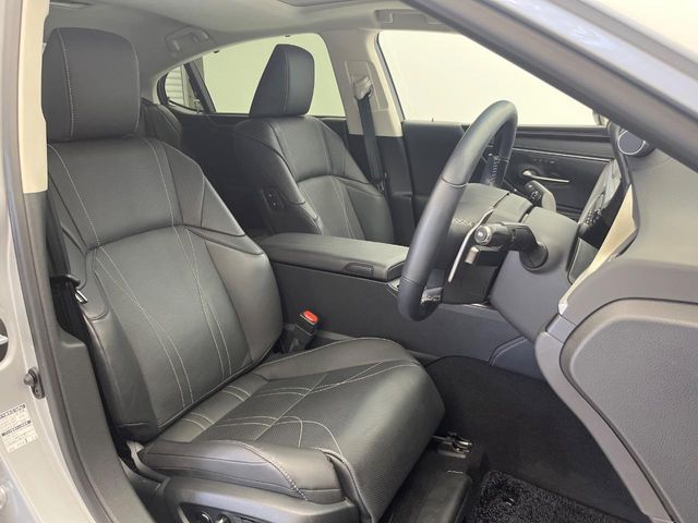 TOYOTA LEXUS ES300h 2019