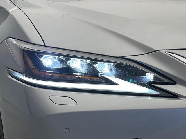 TOYOTA LEXUS ES300h 2019