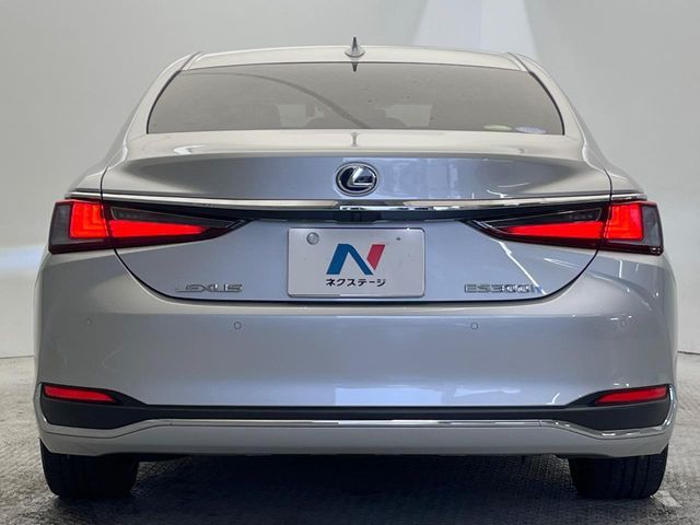 TOYOTA LEXUS ES300h 2019