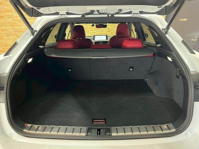 TOYOTA LEXUS RX300 AWD 2020