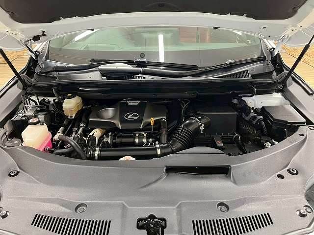 TOYOTA LEXUS RX300 AWD 2020