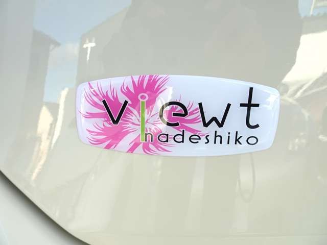 MITSUOKA VIEWT Hatchback 2019