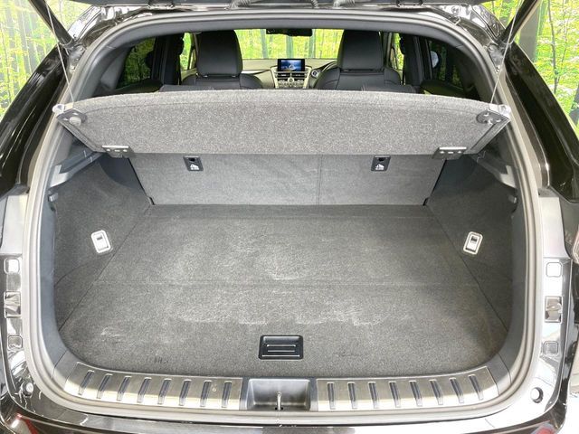 TOYOTA LEXUS NX300h 2014