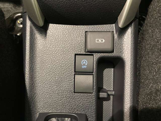 MITSUOKA Ryugi WAGON 2025