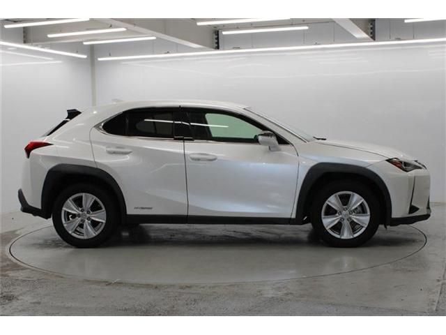 TOYOTA LEXUS UX250h 2020