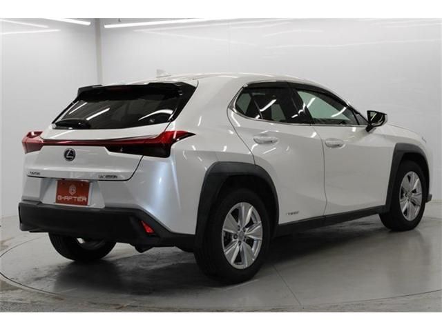 TOYOTA LEXUS UX250h 2020
