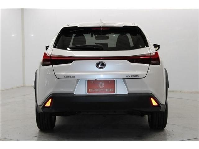 TOYOTA LEXUS UX250h 2020