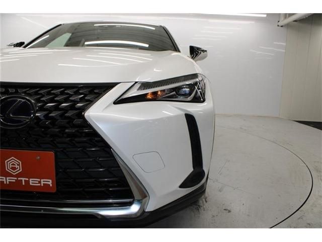 TOYOTA LEXUS UX250h 2020