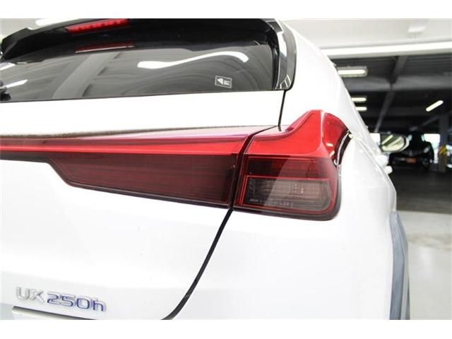 TOYOTA LEXUS UX250h 2020