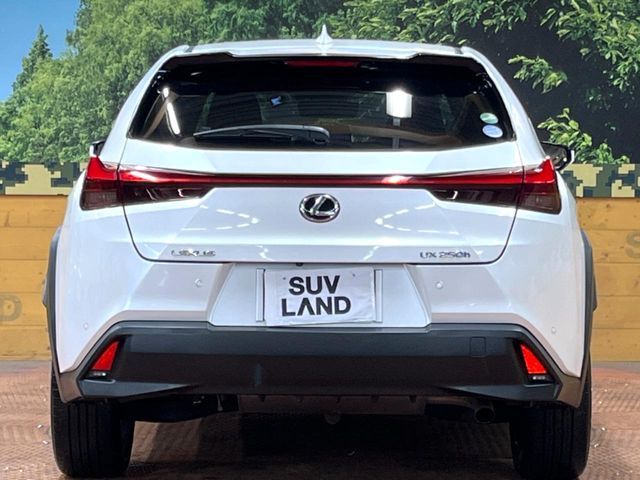 TOYOTA LEXUS UX250h 2019