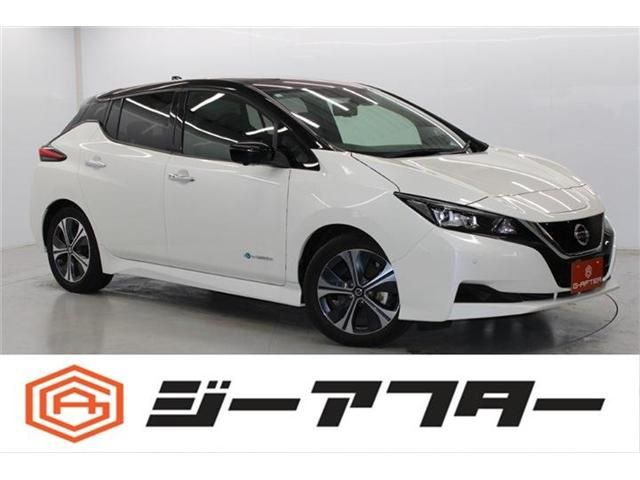 NISSAN LEAF 2020