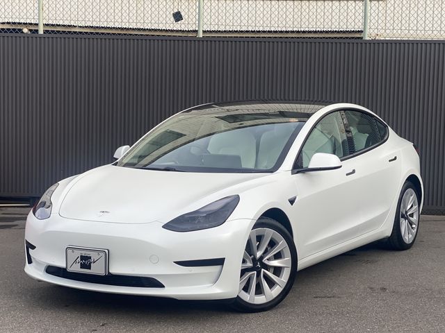 TESLA TESLA MODEL 3 2022