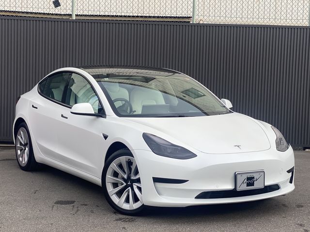 TESLA TESLA MODEL 3 2022