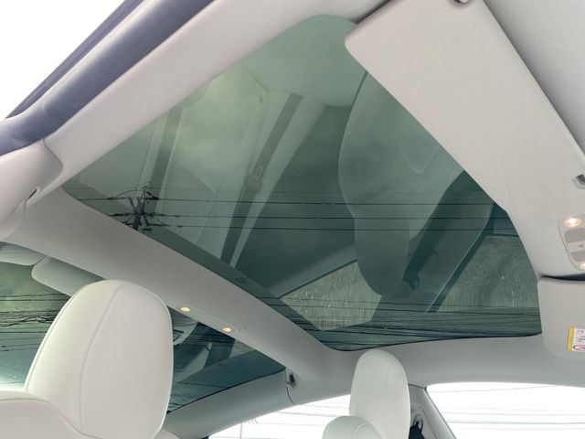 TESLA TESLA MODEL 3 2022