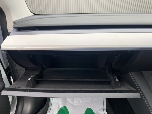 TESLA TESLA MODEL 3 2022