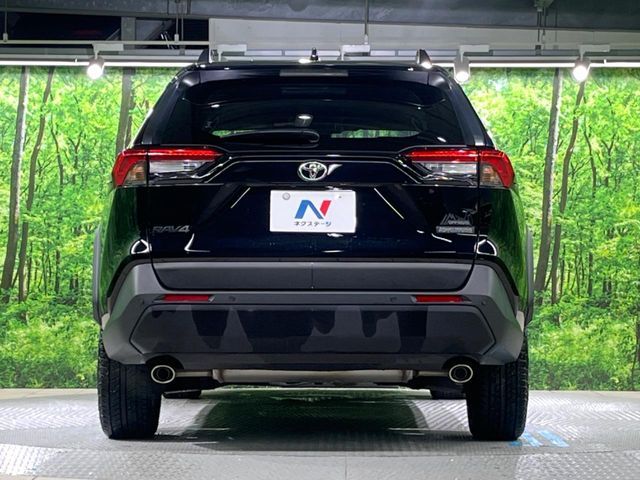 TOYOTA RAV4 4WD 2024