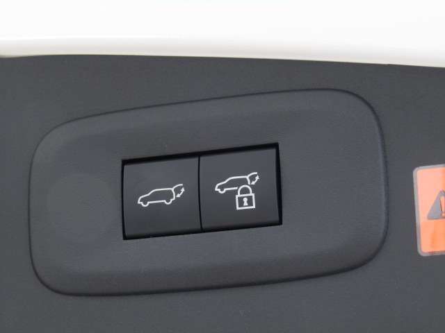 TOYOTA LEXUS RZ450e 2023