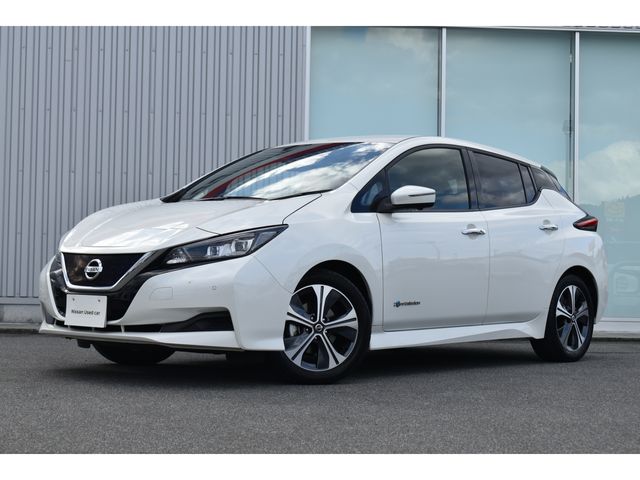 NISSAN LEAF 2020