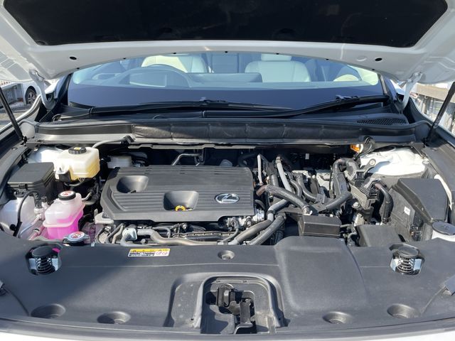 TOYOTA LEXUS RX350h 2023