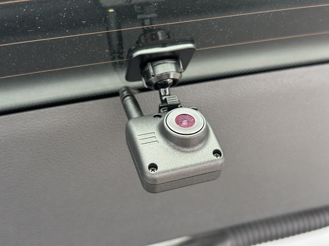 VOLKSWAGEN VOLKSWAGEN GOLF 2024