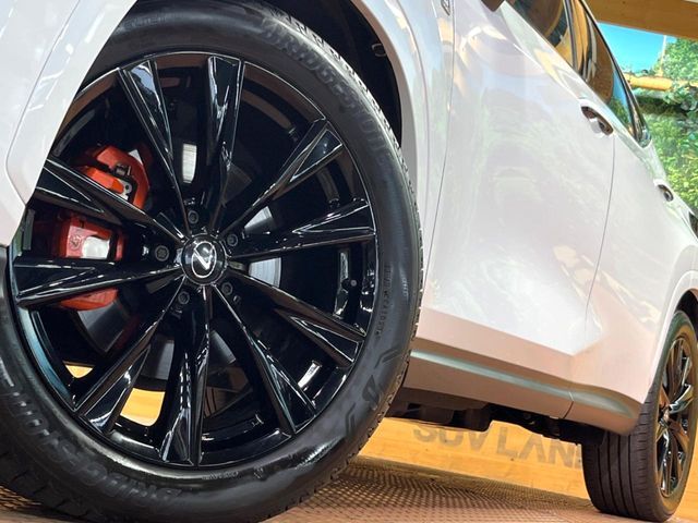 TOYOTA LEXUS NX350h 2023