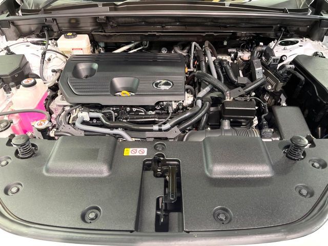 TOYOTA LEXUS NX350h 2023