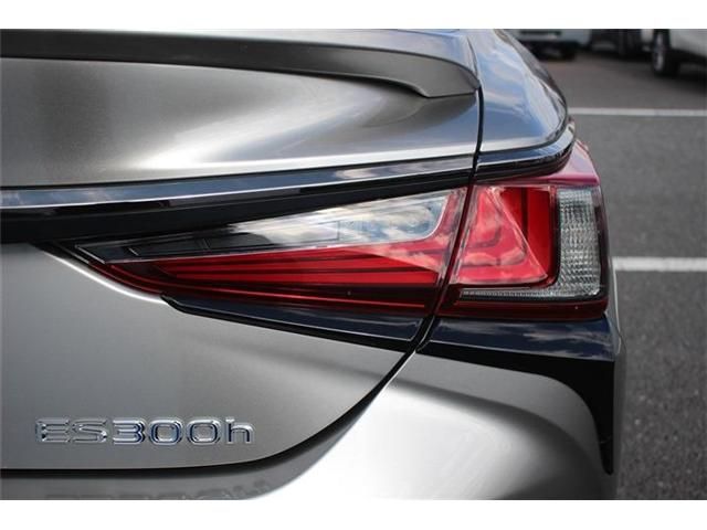 TOYOTA LEXUS ES300h 2019