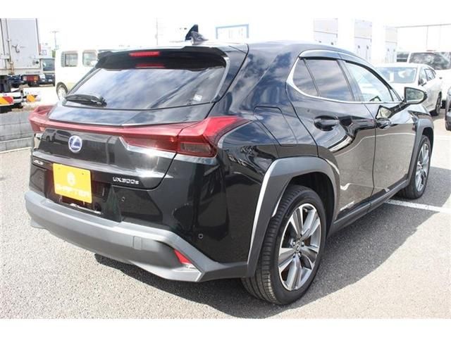 TOYOTA LEXUS UX300e 2022