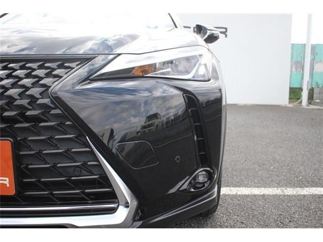 TOYOTA LEXUS UX300e 2022