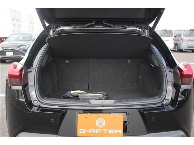 TOYOTA LEXUS UX300e 2022